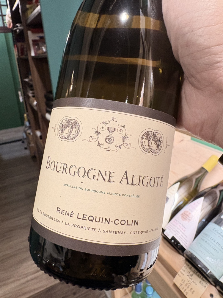 雷內．柯林 勃根地 阿利歌蝶 白酒