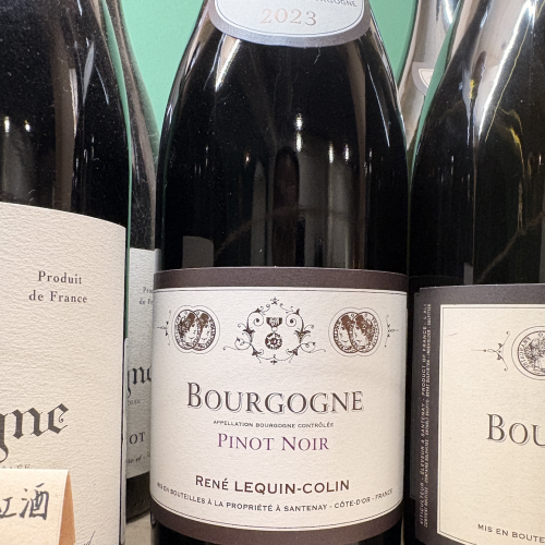 雷內．柯林 勃根地 廣域級 紅酒